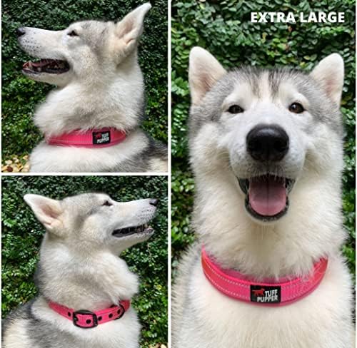 Tuff Pupper Ultra Comfort Padded Dog Collar | Thick Neoprene Padding | Ballistic Nylon Strap Dog Collar with Reflective Stitching | Durable Metal Buckle & Integrated ID Tag Holder | Waterproof Collars