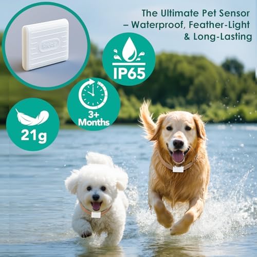 Automatic Dog Door for Wall with Collar Sensors, XLarge Smart Pet Door for Wall, Custom Scheduling & Anti-Pinch, Fits Extra Large Dogs up to 200 lbs(X-Large)