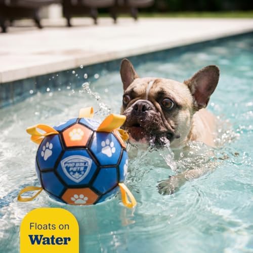 Interactive Dog Soccer Ball for Dogs, 6” with Straps & Grab Tabs, Floats on Water, Fetch & Training Toy for Small/Medium Dogs, Herding Breeds, Waterproof Non-Toxic – ProBall Pets – Blue Orange