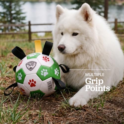 Maccabi Interactive Dog Soccer Ball for Dogs, 6” with Straps & Grab Tabs, Floats on Water, Fetch & Training Toy for Small/Medium Dogs, Herding Breeds, Waterproof Non-Toxic – ProBall Pets – Green Red