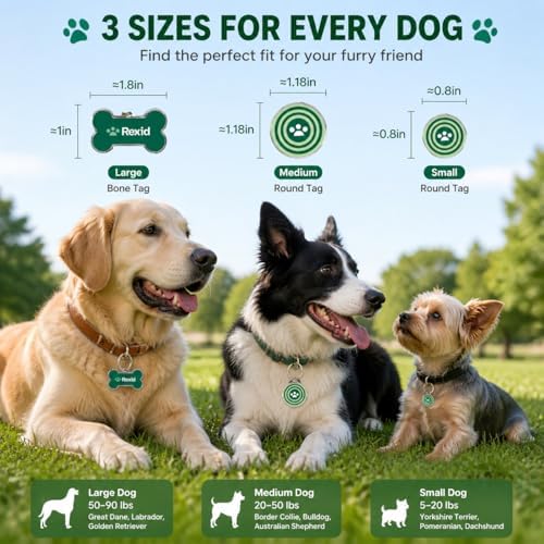 RexID Round Smart Dog Tag 2 Pack – QR Code ID Tag with Online Profile & Owner Contact – Anyone Anywhere Scan Instantly to Reunite – 1.18'' Lightweight & Noise-Free for Dog&Cat