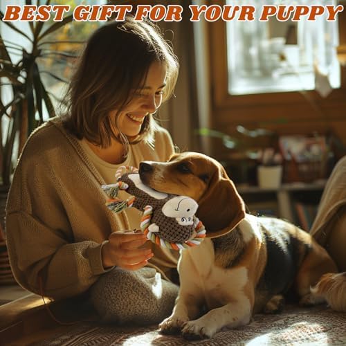 Squeaky Monkey Dog Toy for Large Dogs