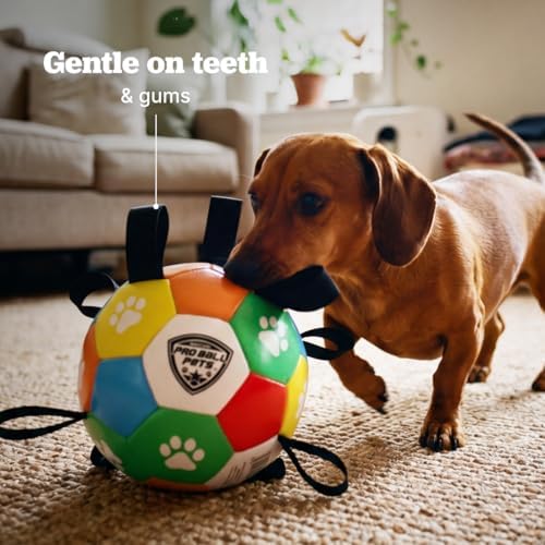 Maccabi Interactive Dog Soccer Ball for Dogs, 6” with Straps & Grab Tabs, Floats on Water, Fetch & Training Toy for Small/Medium Dogs, Herding Breeds, Waterproof Non-Toxic – ProBall Pets – Multicolor