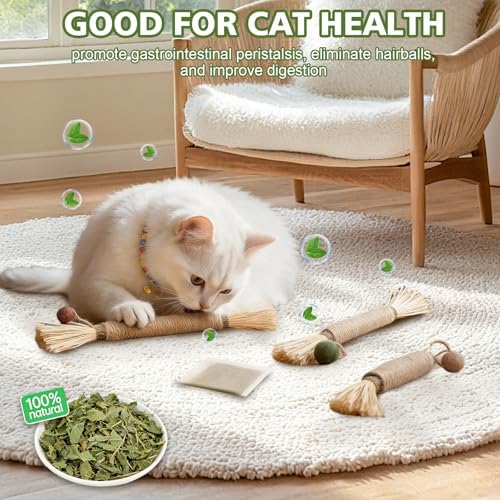WOUSEDO 7 Pack Silvervine Sticks Cat Toy with Catnip & Matatabi Ball