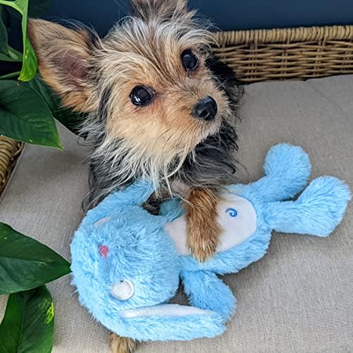 Huxley & Kent Slappies Plush Dog Toy, Betty Bunny, Large