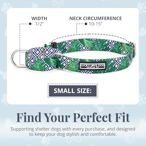 Lucky Love Dog Martingale Collar for Small Dogs Cute – Blue Laguna, Small