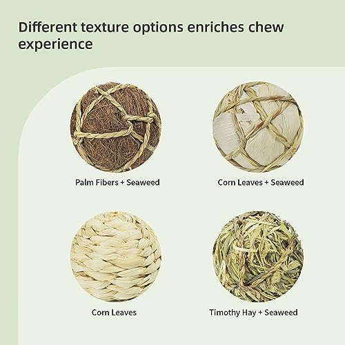 andwe Small Animals Play Balls Rolling Chew Toys, Pack of 4