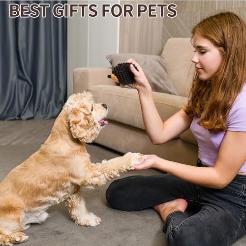 2-in-1 No-Stuffing Hedgehog Dog Toys 3 PCS, Squeaky Ball for Throwing Play | Interactive Chewing Toys for Medium and Small Pets, Durable Plush for Companion, Keep Puppy Busy, Holiday Gift