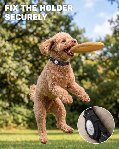 Padded Dog Collar with Waterproof Holder Compatible with Airtag