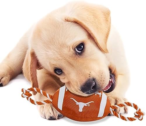 Pets First NFL Unisex NFL Nylon Football