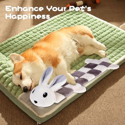 Mihachi Easter Rabbit Dog Squeaky Toys 16 Squeakers for Aggressive Chewers, Tough Interactive Tug of War Dog Toy-Chew Toy for Small,Medium,Large Breed No Stuffing Toy, Fun Long Toys 22.8 Inches