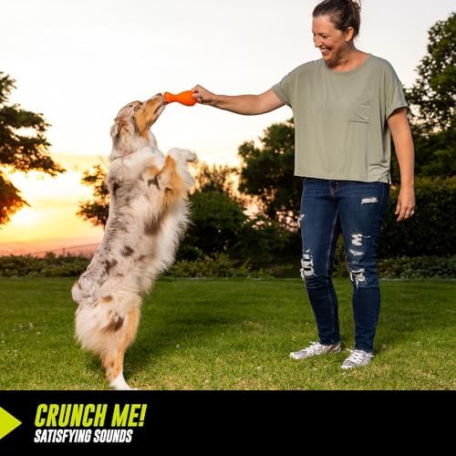 Hyper Pet Hyper-Bonz Turkey Scented Drumstick Crunch Bone, Interactive Dog Toy, 6.0" inches in Length, for All Breed Sizes