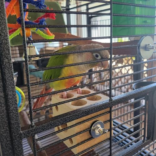 QBLEEV Bird Wooden Block Chew Toy, Parrot Tabletop Puzzle, Small Animal Shredding & Biting Wood Teething Toy for Hamster, Cockatiels, Conures & Budgie