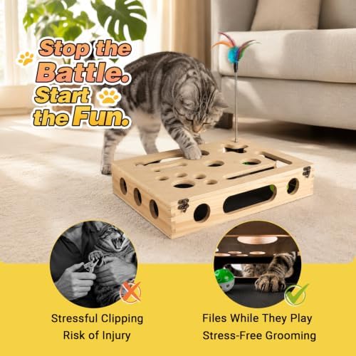 Cat Scratch Puzzle Enrichment Box, Interactive Cat Toy for 3 Balls & 2 Wand