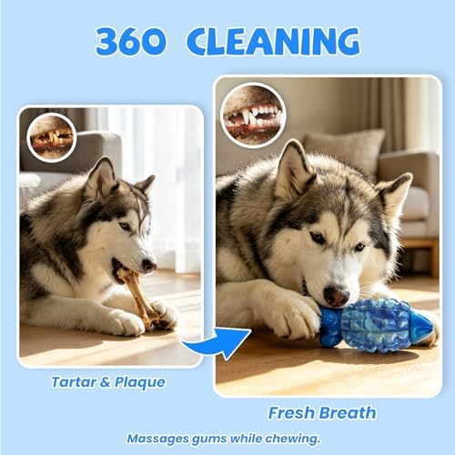 YINEYA Dog Toys for Aggressive Chewers, Tough Squeaker Dog Toys, Blue