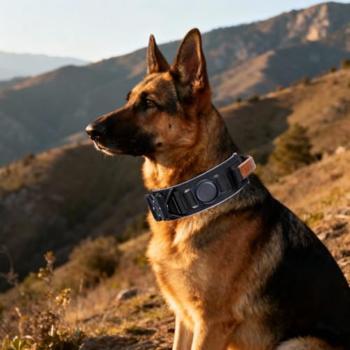 2" Tactical Dog Collar with Airtag Holder & Handle for Large Dogs (Black)