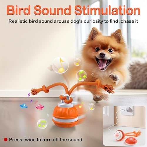2PC P06 Smart Interactive Dog Toys Dog Balls with Rope for Small Medium Dog