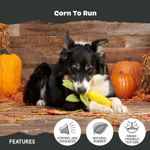 BarkBox Corn to Run Dog Toy - Toy for Large Dogs