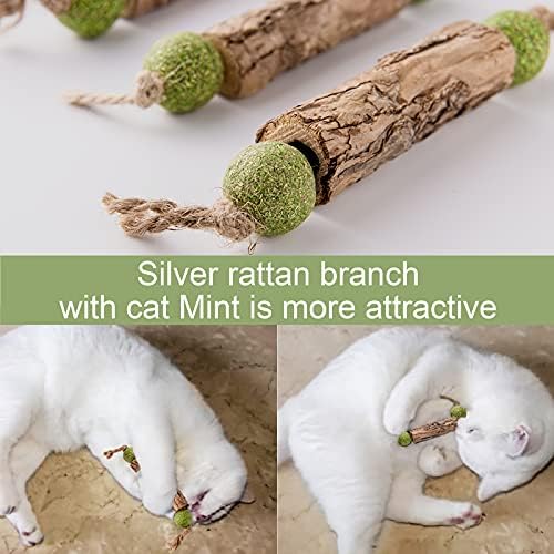 Silvervine Sticks for Cats, 5 Pack Natural Catnip Chew Toys