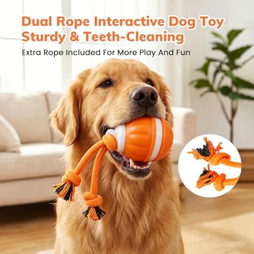 Dog Toys, Interactive Dog Toys, Automatic Interactive Dog Ball, 3 Modes Motion Activated Dog Balls for Medium Large Dogs, Type-C Rechargeable & Bite-Resistant (Orange01)