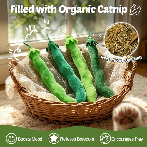 CiyvoLyeen Plush Green Bean Catnip Toys for Indoor Cats 4 Pack
