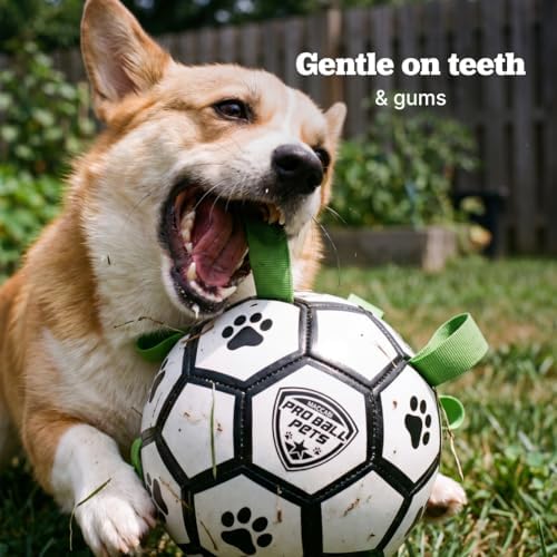 Interactive Dog Soccer Ball for Dogs, 7” with Straps & Grab Tabs, Floats on Water, Fetch & Training Toy for Small/Medium Dogs, Herding Breeds, Waterproof Non-Toxic – ProBall Pets – White Green
