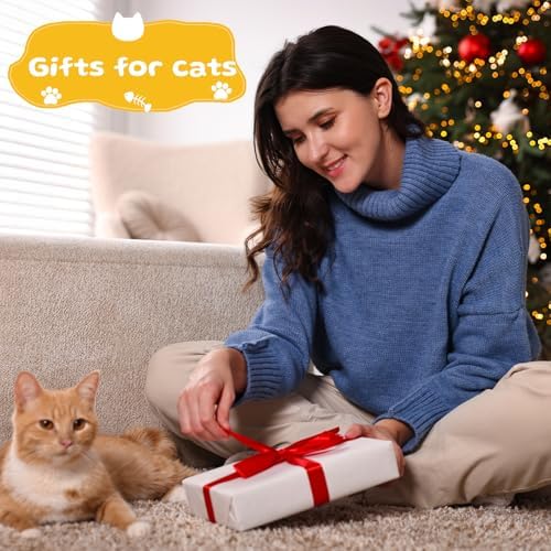 Teyva 32 Pcs Cat Bouncy Ball Toys with Natural Feathers, Interactive