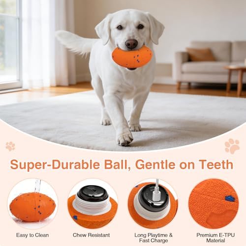 Interactive Dog Toys Ball Automatic Active Rolling Ball for All Dog(Vorange