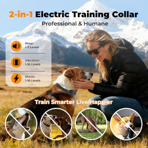 2-in-1 Dog Shock Collar 2 Dogs - 3300 ft Waterproof Training Collar