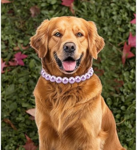 Chunky Pearl Dog Necklace (Beads 20mm),Elegant Classic Super Big Pearl Collar Necklace Accessories for Medium Large Dogs Occasions and Gatherings (Purple, 4XL(Neck Girth 22.5''-25''))