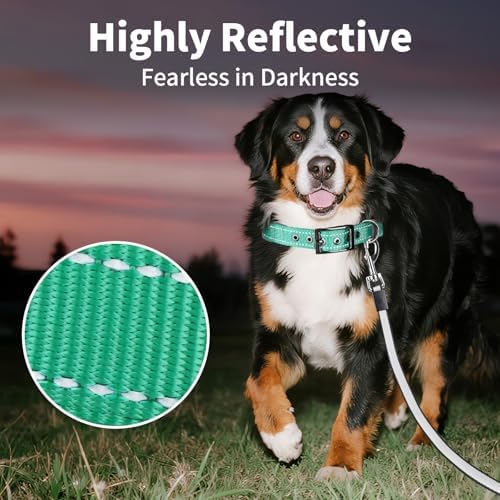 Segarty Reflective Green Dog Collar, Adjustable Wide Soft Comfortable Breathable Neoprene Padded Nylon Collar with Heavy Duty Metal Buckle for Extra Large Breeds (XL, Green)