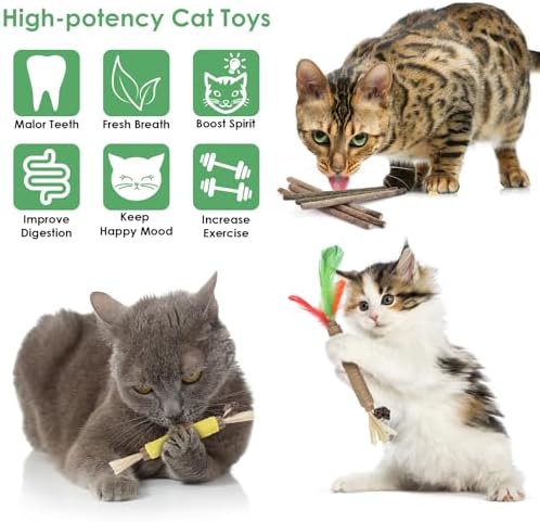 Bissap 16PCS Silvervine Chew Sticks, Catnip Chewing Toy for Cat Kitten