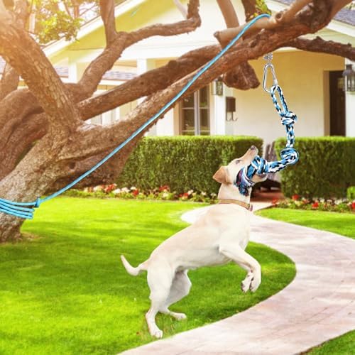 LOOBANI Spring Pole Toy for Pitbull: Bungee Tug War Toys，Blue