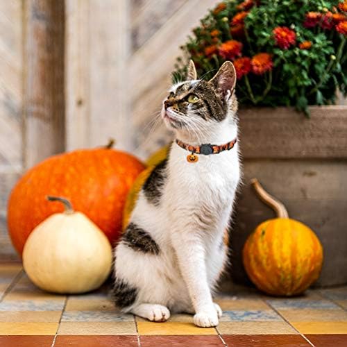 KOOLTAIL Halloween Cat Collar with Bells - 3 Pack Breakaway Cat Collar with Pumpkin Ghost Patterns Safety Buckle Kitten Collars, Adjustable Cute Pet Collar for Boys and Girls Holiday Costume Orange