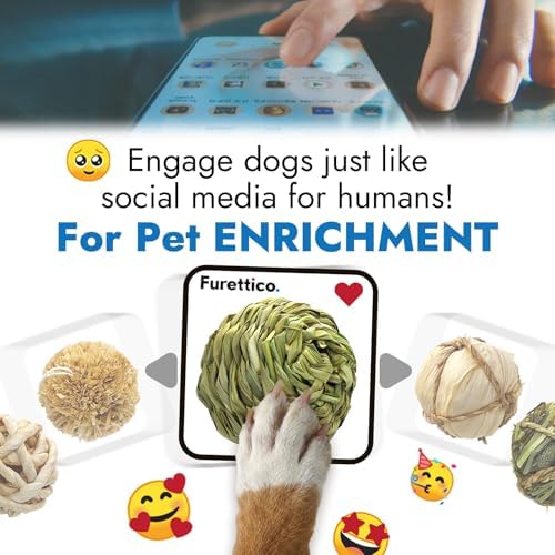 Natural Dog Chew Toy, 1pcs Woven Grass Chew Ball for Dogs, Dental Teething Toy & Interactive Fetch Toys, Outdoor Rattan Digestible Chew Ball for Boredom Relief - Reed