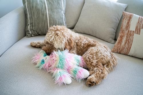Flourish Pets 3 in 1 Multi-Layer Chew Toy for Active Dogs | Non-Toxic BPA Free Double Stitched Soft Fabric Exterior Dog Toys | Long-Lasting Dog Plush Toys – Sloth Large 5"