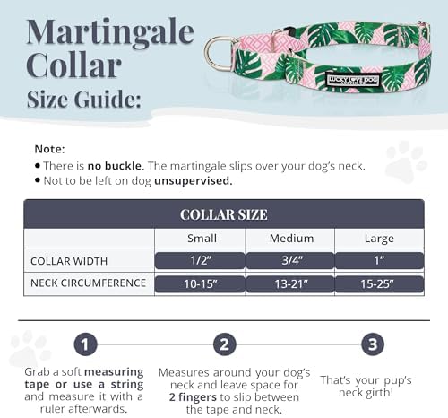 Lucky Love Dog Martingale Collar for Small Dogs No Slip – Laguna, Small
