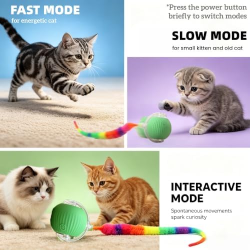 Interactive Dog Cat Toy Ball, Upgraded Rechargable Rolling Pet Ball with 2 Tails, Smart Automatic Moving Toy for Bored Indoor Kitty Puppy -Green
