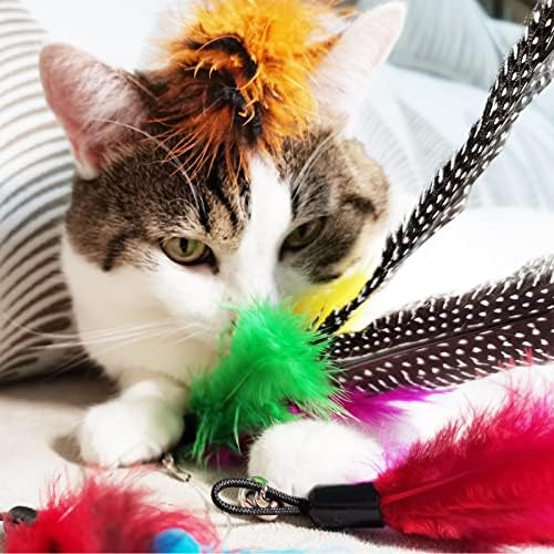 Cat Feather Toys Refills, 8 Pieces Natural Da Bird Feathers Refill, Cat Wand Replacement Feather for Indoor Cats (D)