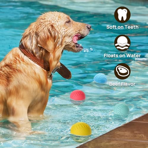 iPettie Summer Floating Dog Ball, Squeaky Water Fetch Toy