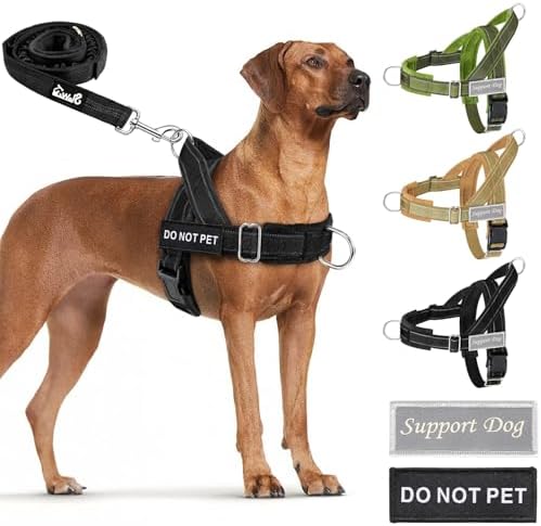 Lukovee No Pull Dog Harness and Leash Set, Soft Padded for Large Medium Dog