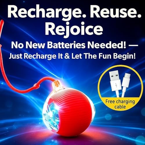 2026 New 2Pack Cat Ball Kitten Toys for Indoor Interactive Kitty Ball Toy Speedy Tail 360° Automatic Rolling Electric Moving Rechargeable,Smart Pet Chase with Rope for Bored Cats (RED & Blue) 2 Pcs