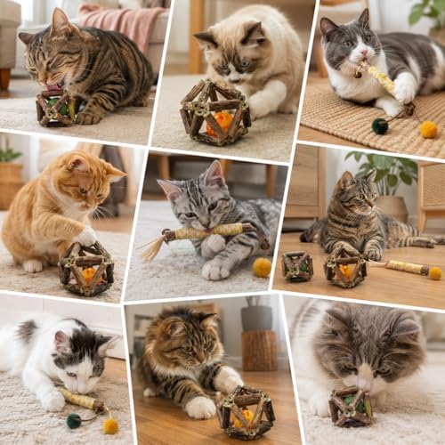 3 Pack Cat Toy Set, Catnip Vine Ball, Bell Vine Ball and Raffia Chew Stick, Natural Interactive Cat Chew Toys for Indoor Cats, Kitten Teething, Licking, Batting, Chasing, Pouncing, Boredom Relief Fun