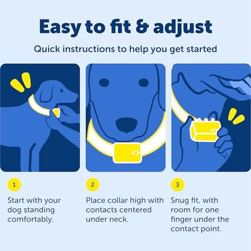 PetSafe 600 Yard Remote Training Collar Choose from Tone, Vibration, or 15 Levels of Static Stimulation Medium Range Option for Training Off Leash Dogs Waterproof and Durable Rechargeable