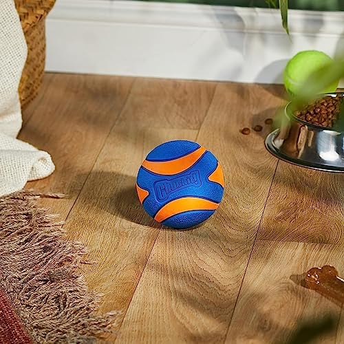 Chuckit! Ultra Squeaker Dog Ball - Extra Large Bouncy and Squeaky Pet Toy for Dogs 100+ lbs - Floats on Water - Durable Rubber - 3.5" Diameter - Size XL (Pack of 12)