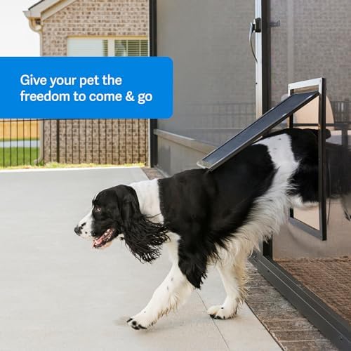 PetSafe Pet Entry for Screen Doors, Windows, and Porches - Size Small for Dogs and Cats up to 30 lb Easy Access Brown(Pack of 6)