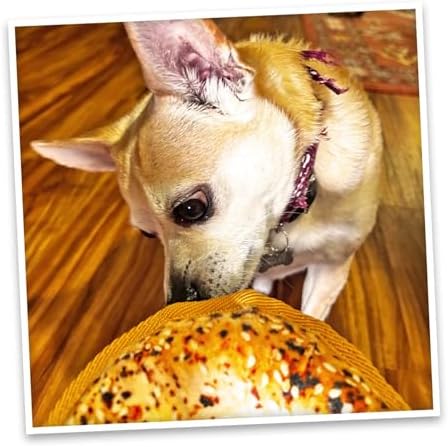 Doggijuana Avocado Toast & Everything Bagel Dog Toy Bundle | 2 Pack