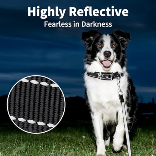 Segarty Reflective Dog Collar for Large Dogs, Adjustable Wide Soft Comfortable Breathable Neoprene Padded Nylon Collar with Heavy Duty Metal Buckle for Large Medium Breeds (L, Black)