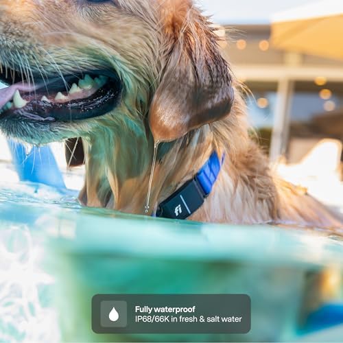 Fi Series 3+ GPS Dog Collar Small Gray, Tracker with 6-Month Plan | Waterproof build, LED safety light, escape alerts, nationwide coverage, iOS and Android app, activity monitoring