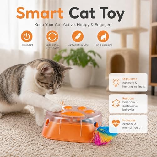 Interactive Cat Toys for Indoor Cats & Kittens, Bird Sound Feather Toy